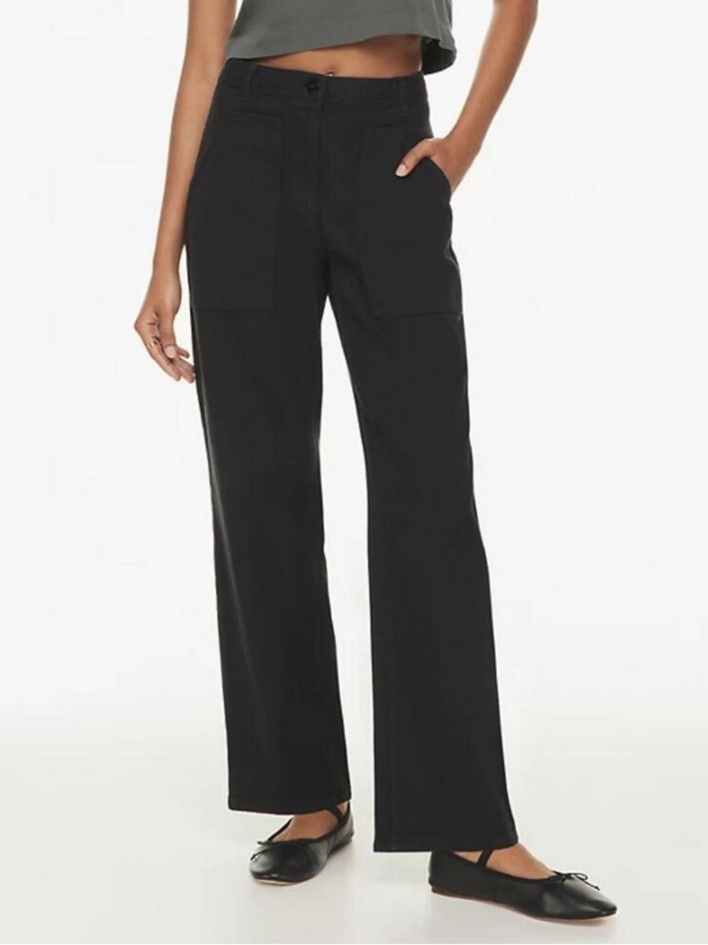 Aritzia Wilfred Free Black Modern Canvas Utility Straight Leg Pants
